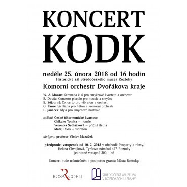 Koncert Komorního orchestru Dvořákova kraje 